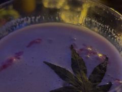-vimi便利店酒吧