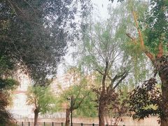 -黄兴公园