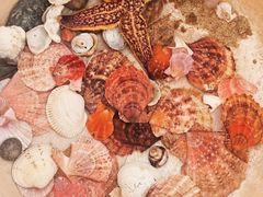 -那香海钻石沙滩浴场