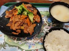 -雨林餐厅(长隆海洋王国店)
