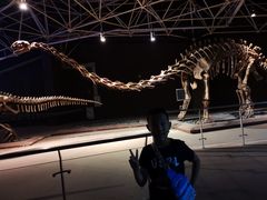 -世界恐龙谷景区