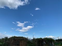 -上庄晋风庄园(上庄店)