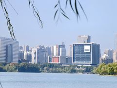 -天鹅湖体育公园