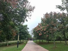 -盘龙城国家考古遗址公园