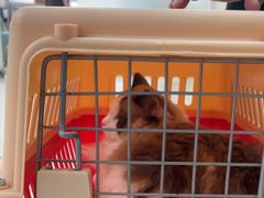 -美联众合动物医院·24h京西诊疗中心
