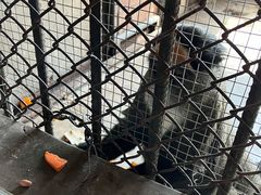 -秦皇岛野生动物园