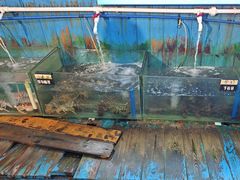 -蓝湾碧波·老字号·疍家非遗海上餐厅
