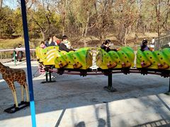 -朝阳公园游乐园