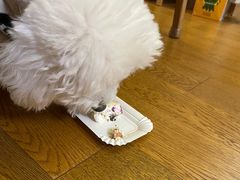 -Whisper studio薇语花艺烘焙工作室