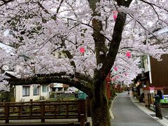 -城崎温泉 外七汤