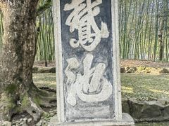 -兰亭风景区