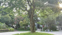 点击看大图 -莲生母婴月子中心(清水河公园店)