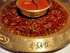 -哥老官重庆美蛙鱼头(龙湖杭州金沙天街店)