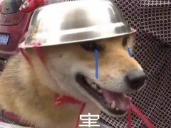 -西郊国际农产品交易中心