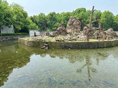 -合肥野生动物园
