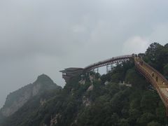 -少华山国家森林公园