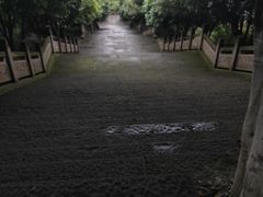 -翠屏公园