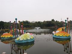 -映月湖公园