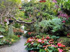 -Chom Cafe and Restaurant