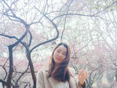 -武汉大学-樱园