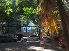 -椰爺爺·椰子冻砵仔糕