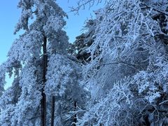 景点-九华山风景区
