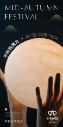 -安吉拉青春化管理中心