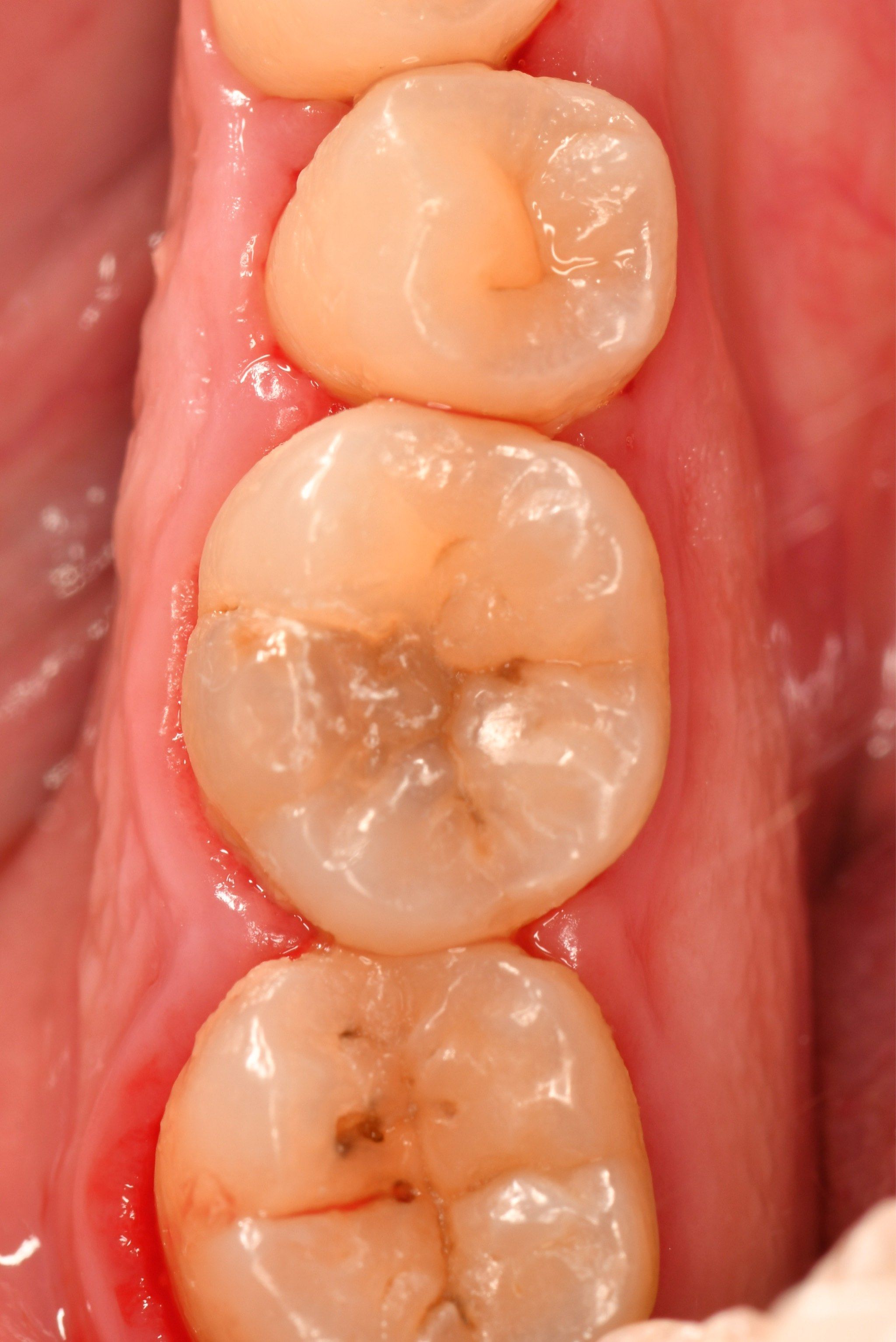 在台州看见活力中国