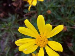 -云南艺术学院(呈贡校区)