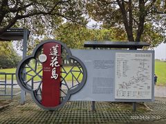 -莲花岛景区