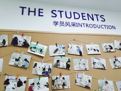 -槿言教育·雅思托福·国际教育·小语种培训留学中心(观音桥店)