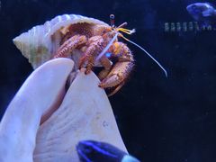 -欢乐海岸海洋奇梦馆