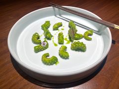 -CHIC1699远洋私厨