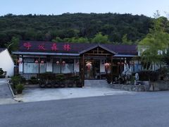 -呼吸森林·生态农庄农家乐私房菜