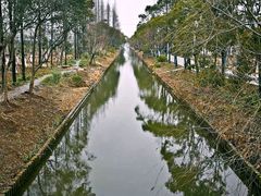 -上海长兴岛郊野公园