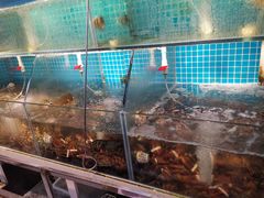 水产区-船奇蒸汽海鲜·闽菜(八市海鲜总店)