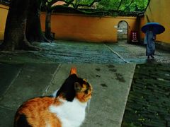 -西园戒幢律寺