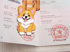 -优护优家Ucare月嫂育儿嫂陪伴师(静安店)