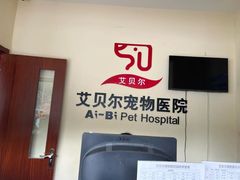 -艾贝尔宠物医院 ·内科全科(梁溪路店)