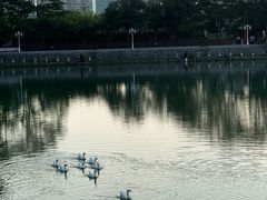 -珠海圆明新园