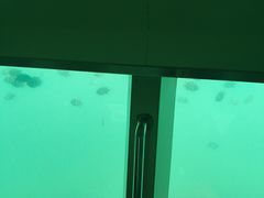 -亚龙湾海底世界