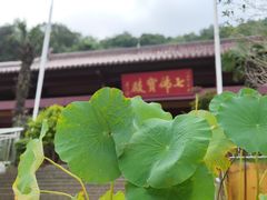 -南京老山国家森林公园