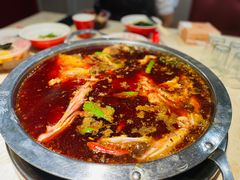 -蜀滋香鲜鱼美蛙火锅(339店)