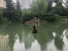 -西苑公园