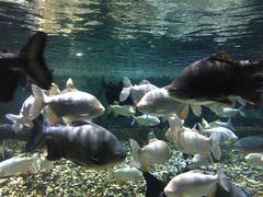 -成都浩海立方海洋公园