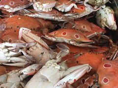 -荣誉国际酒店-云顶旋转餐厅