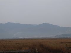 -北岐滩涂