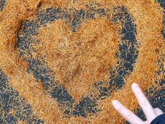 -福清灵石山国家森林公园