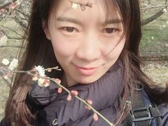 -香雪海