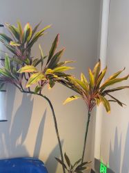 -悦润荟美容抗衰中心
